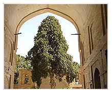 مسجدجامعنیریز مسجد-جامع-نيريز